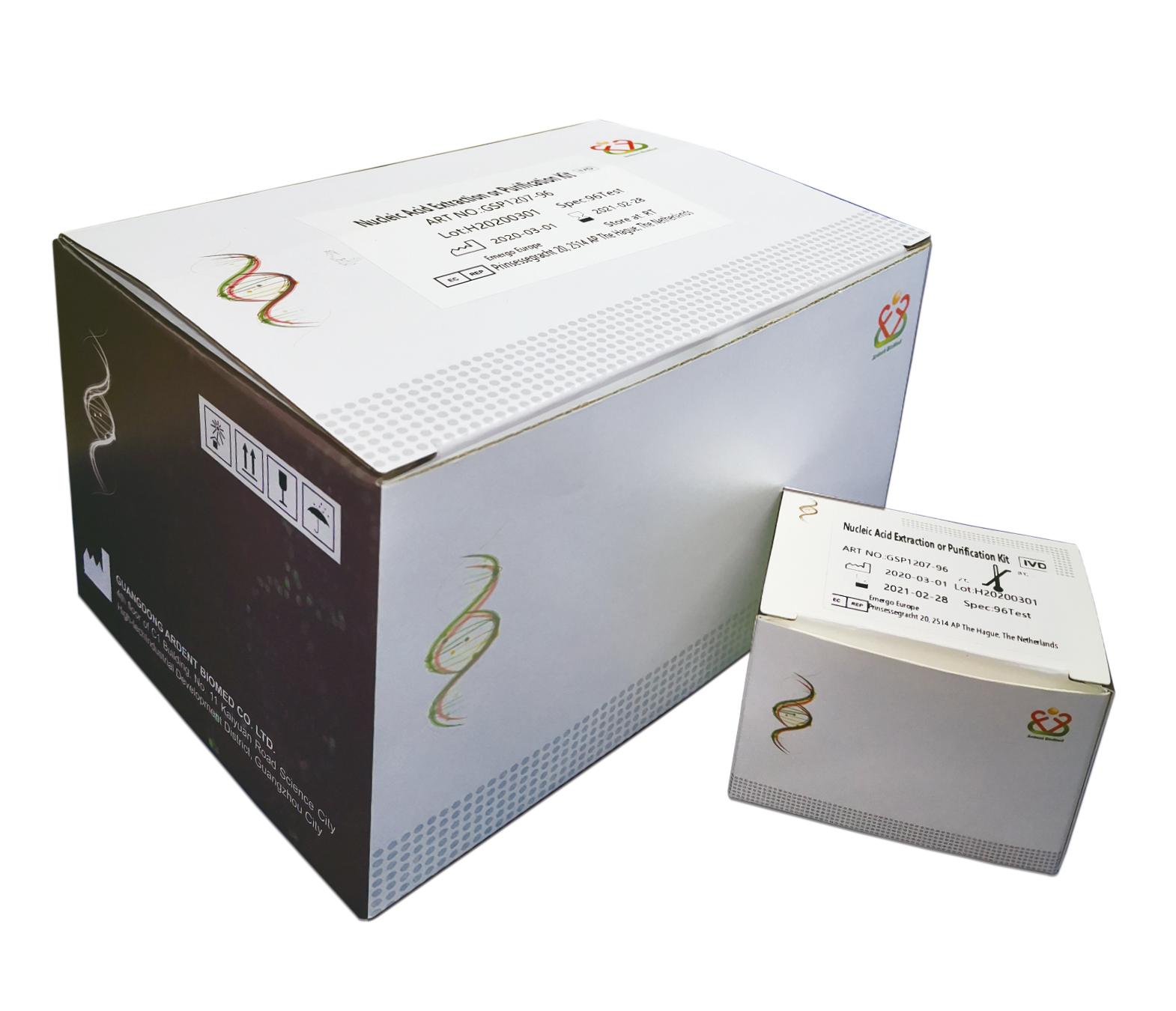 Nucleic Acid Detection Kit